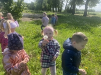 Zdjęcie: Spotkanie z łąką
