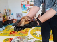 Zdjęcie: Wizyta mamy Leona Pawlickiego-pokaz ślimaka