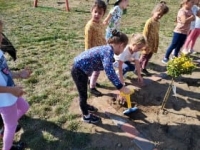 Zdjęcie: Nasz plac zabaw pięknieje