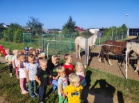 Zdjęcie: Wycieczka na ogródki działkowe