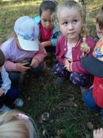 Zdjęcie: Wycieczka do lasu