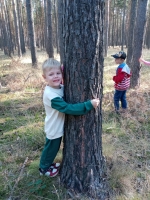 Zdjęcie: Wycieczka do lasu