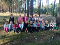 Zdjęcie: Wycieczka do lasu