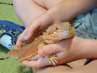 Zdjęcie: JASZCZURKA 