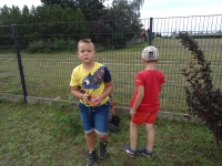 Zdjęcie: POZNAJEMY OWADY
