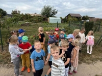 Zdjęcie: Ogródki działkowe.