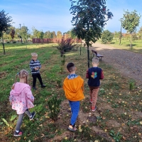 Zdjęcie: Wycieczka do parku