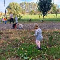 Zdjęcie: Wycieczka do parku