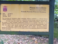 Zdjęcie: WYCIECZKA DO PARKU