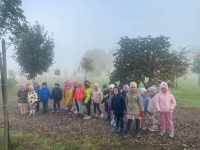 Zdjęcie: Park jesienią