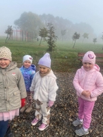 Zdjęcie: Park jesienią