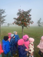 Zdjęcie: Park jesienią