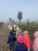 Zdjęcie: Park jesienią