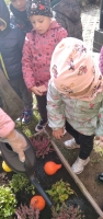 Zdjęcie: Jesienne porządki w ogrodzie przedszkolnym
