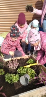 Zdjęcie: Jesienne porządki w ogrodzie przedszkolnym