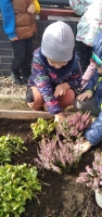 Zdjęcie: Jesienne porządki w ogrodzie przedszkolnym