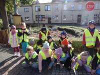 Zdjęcie: POZNAJEMY ŚWIĘCIECHOWĘ