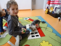 Zdjęcie: PIESEK LOLEK