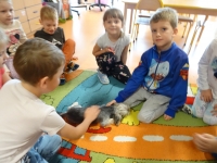 Zdjęcie: PIESEK LOLEK