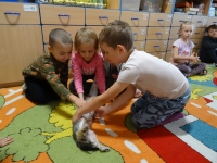 Zdjęcie: PIESEK LOLEK