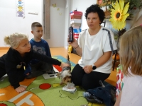 Zdjęcie: PIESEK LOLEK