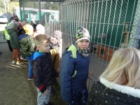 Zdjęcie: WYCIECZKA DO SCHRONISKA