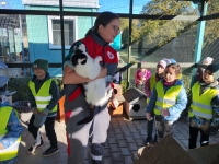 Zdjęcie: WYCIECZKA DO SCHRONISKA
