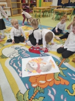 Zdjęcie: Dzień jeża