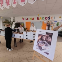 Zdjęcie: Podsumowanie Akcji 