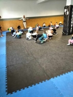 Zdjęcie: Zajęcia pokazowe Brazylijskie jiu jitsu
