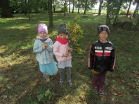 Zdjęcie: Wycieczka do parku