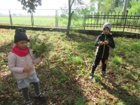 Zdjęcie: Wycieczka do parku