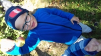 Zdjęcie: Wycieczka do sadu