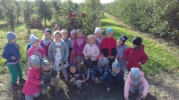 Zdjęcie: Wycieczka do sadu