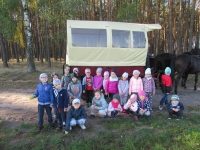 Zdjęcie: Wycieczka do lasu