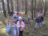 Zdjęcie: Wycieczka do lasu