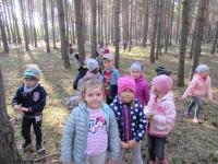 Zdjęcie: Wycieczka do lasu