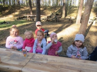 Zdjęcie: Wycieczka do lasu