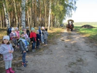 Zdjęcie: Wycieczka do lasu