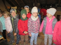 Zdjęcie: Wycieczka do Wilkowic