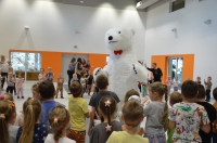 Zdjęcie: Dzień Misia
