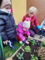 Zdjęcie: Prace w ogródku