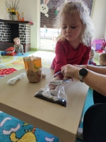 Zdjęcie: Hodowla fasoli