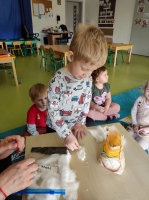 Zdjęcie: Hodowla fasoli