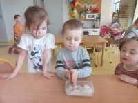 Zdjęcie: MALI OGRODNICY