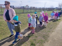 Zdjęcie: Szukamy Zajączka