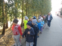 Zdjęcie: Szukamy jesieni