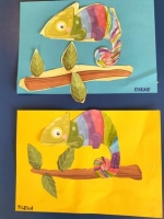 Zdjęcie: Kameleon