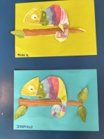 Zdjęcie: Kameleon