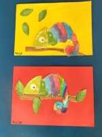 Zdjęcie: Kameleon